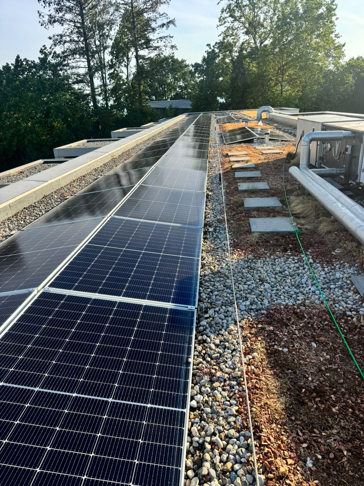 Solarmodule nach der Osmose-Reinigung in Marin-Epagnier NE